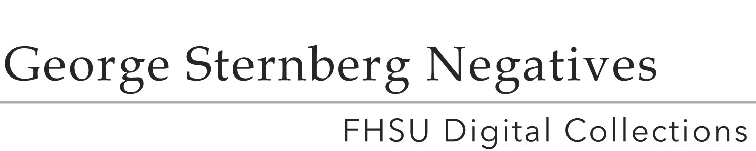Sternberg Negatives Collection