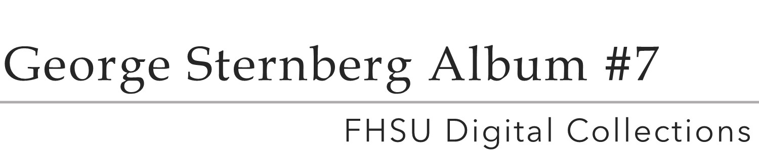 George Sternberg Album #7