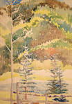 Trees by Mabel Vandiver 1886-1991