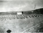 Cement Blocks Drying in a Field