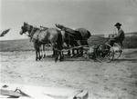 Arthur Beaver Planting a Crop in 1912