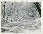 2012-1-180: Riverside Park Snow Covered River