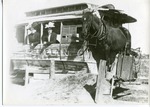 2012-1-331: Trolley Car Pulled by a Horse