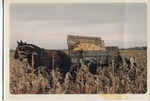 2012-1-336: Corn Harvest