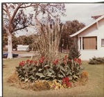 2012-1-434: Landscaped Yard