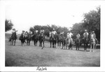 Halstead Saddle Club on Horses