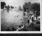Halstead Swimming Pool