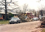 March 1990 Tornado - Tree Damage