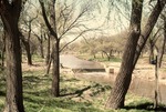 Riverside Park in Halstead, 1961