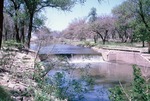 Riverside Park Dam in Halstead in 1963