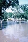 Flood in Halstead in 1965