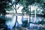 Flooding at Halstead in 1965