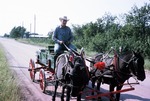 Kenneth Knott with His Horses and Wagon
