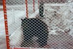A bear is in a cage in Athletic Park in Newton in 1960