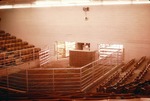Sales Arena Inside the Newton Livestock Auction Market