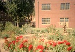 Bethel Hospital Garden in 1964