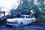 Trees and Automobile in Newton Damaged by a Tornado