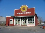 Sunflower Patch, a Business on Main Street