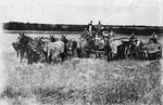 Harvest Scene from 1900