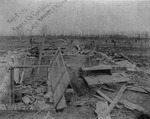 Tornado Devastation in Halstead, 1895 by John D. Riesen