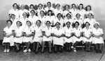 Walton Red Cross Chapter, World War II