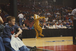 Tiger Mascot Performs Before the Game