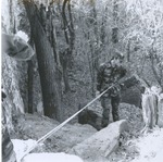 ROT Rappelling Exercise, Woodland