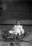 Box 1, Neg. No. 150: Baby Surrounded with Flowers