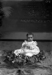 Box 1, Neg. No. 151: Baby Surrounded with Flowers and Holding a Flower