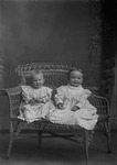 Box 1, Neg. No. 142: Two Babies in a Wicker Chair
