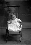 Box 2, Neg. No. 395: Baby in a Stroller