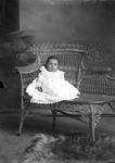 Box 2, Neg. No. 454: Baby Sitting in a Chair