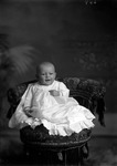 Box 3, Neg. No. 648: Baby Sitting in a Wicker Chair