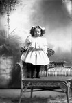 Box 3, Neg. No. 1008: Girl Standing on a Chair