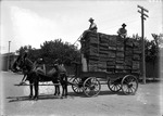 Box 4, Neg. No. 1208: Two Men on a Wagon