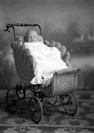 Box 5, Neg. No. 1666-29: Baby in a Baby Carriage