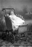 Box 5, Neg. No. 1666-1: Baby in a Baby Carriage
