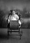 Box 5, Neg. No. 1849: Baby in a Carriage