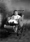 Box 6, Neg. No. 2040: Baby in a Stroller
