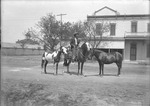 Box 6, Neg. No. 2306: Man with Three Horses