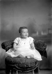 Box 6, Neg. No. 2488: Baby Sitting in a Chair