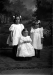 Box 7, Neg. No. 2778A: Peters Children by William R. Gray