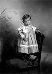 Box 7, Neg. No. 2877: Baby Standing on a Chair by William R. Gray
