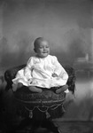Box 8, Neg. No. 299E: Baby Sitting on a Chair