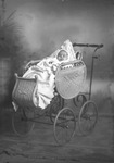 Box 8, Neg. No. 3064B: Baby in a Carriage