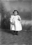 Box 8, Neg. No. 3076: Girl Standing by William R. Gray