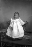 Box 8, Neg. No. 3168B: Baby Standing on a Chair