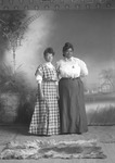 Box 8, Neg. No. 3263: Two Black Women Standing by William R. Gray