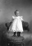 Box 8, Neg. No. 3253A: Girl Standing on a Chair by William R. Gray