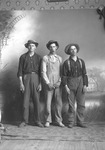 Box 9, Neg. No. 4496: Three Men Standing by William R. Gray